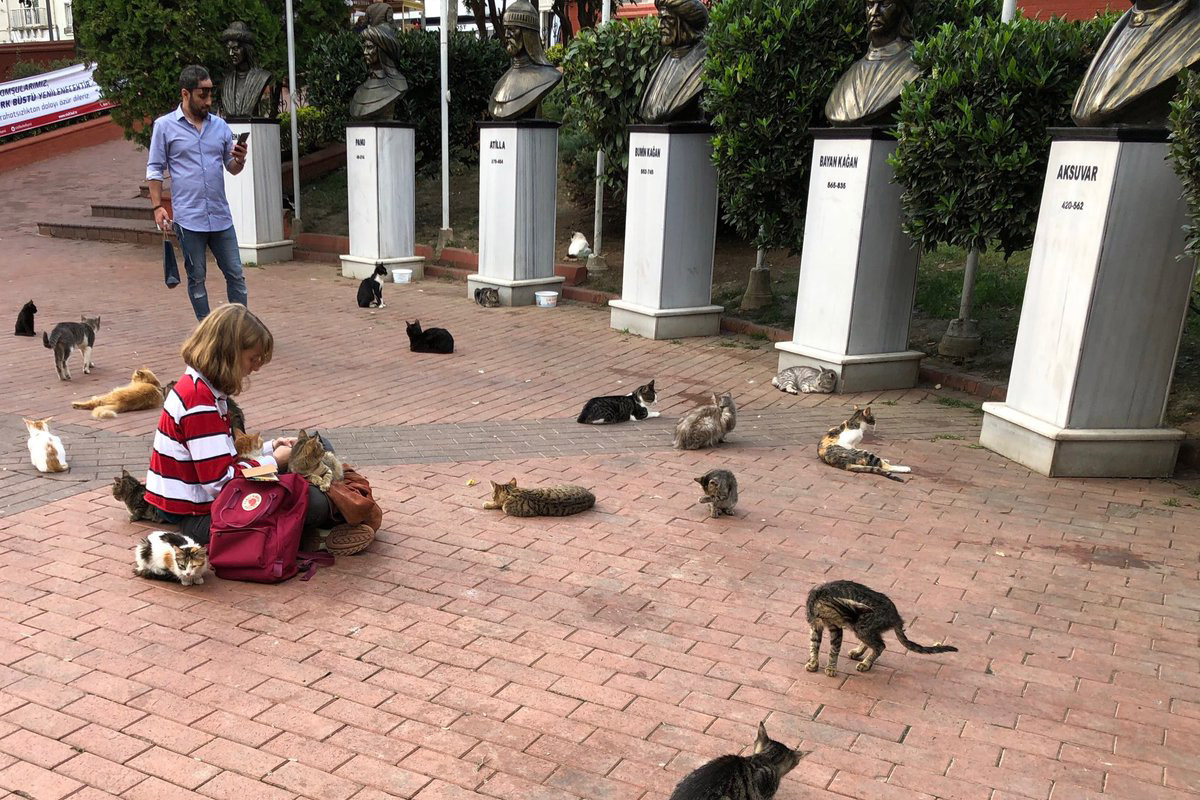 Нетуристический Стамбул Интересные места, которые не входят в экскурсии