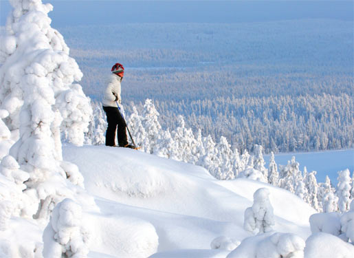 Инвестиции, приносящие наслаждение
