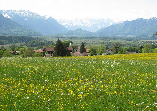 Мюнхен снова стал самым перспективным городом для инвесторов