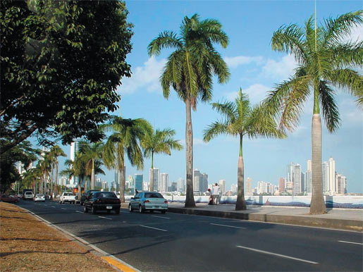 Справочник покупателя: Панама