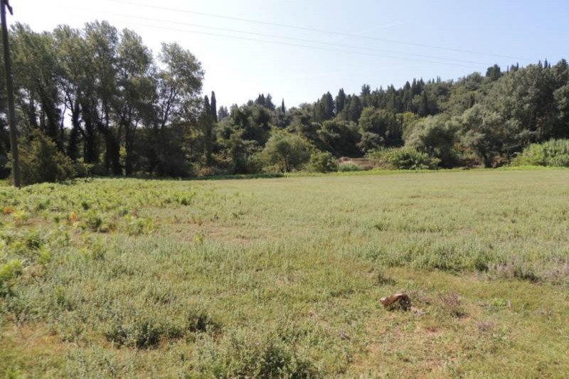 Plot in Greece, in Magoulades