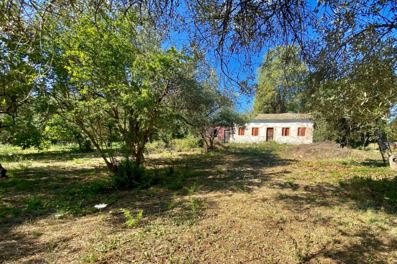Cottage / House in Greece, in Kontokali