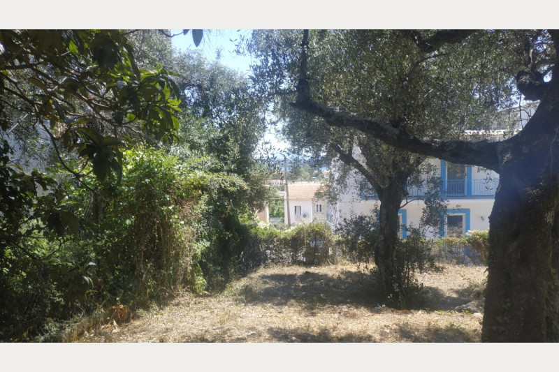 Plot in Greece, in Agios Markos