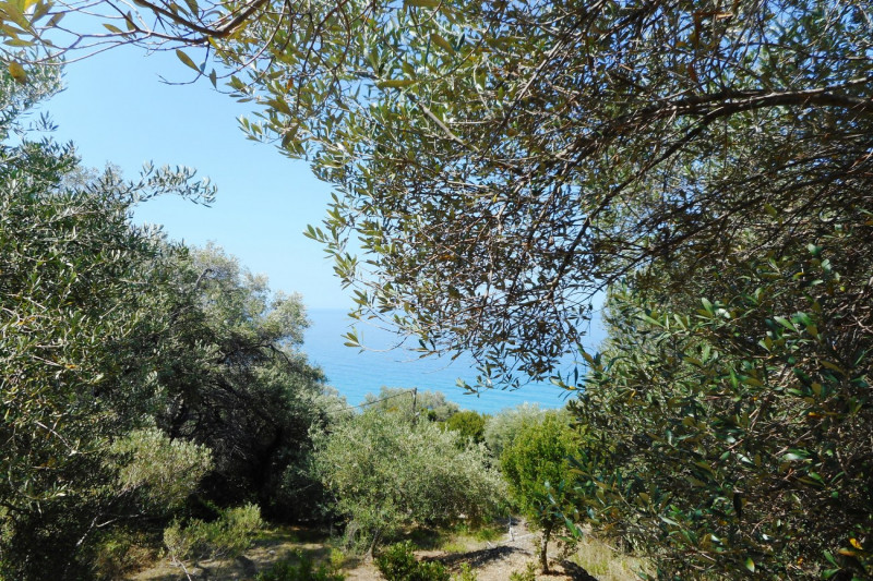 Plot in Greece, in Agios Gordios
