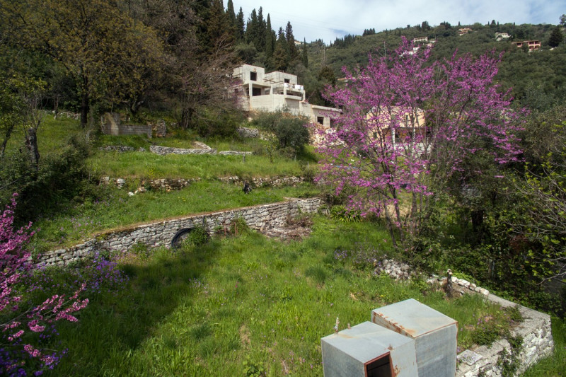 Plot in Greece, in Kalami