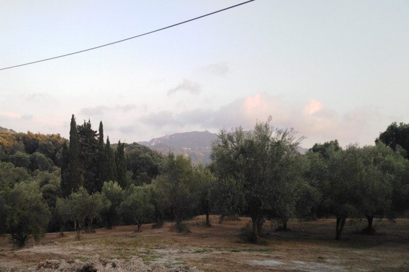 Plot in Greece, in Poulades
