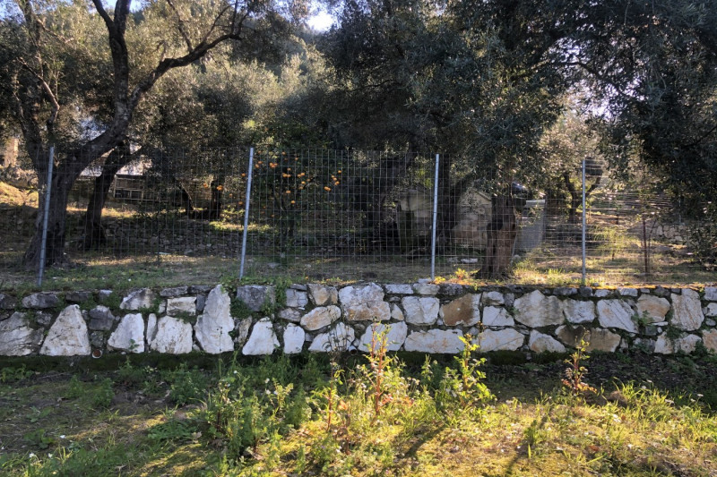 Plot in Greece, in Agios Panteleimonas