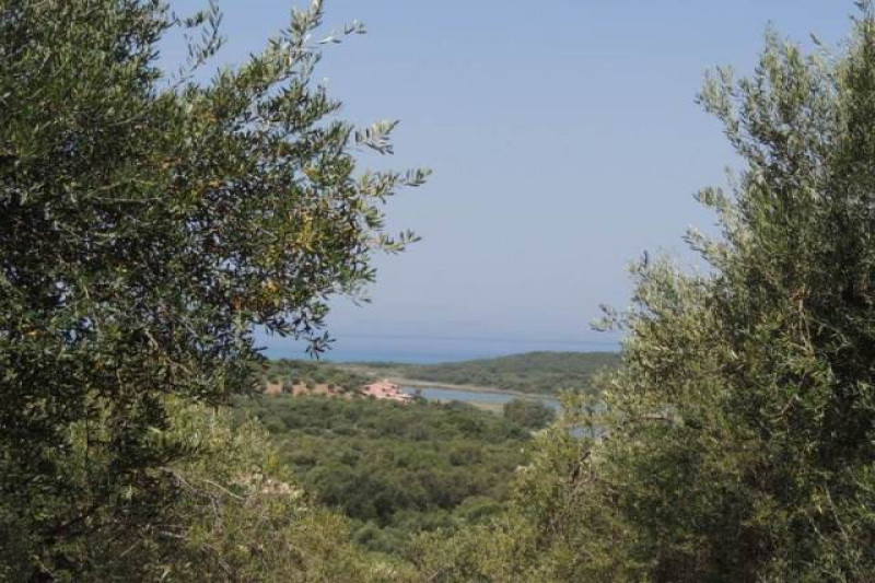 Plot in Greece, in Thinalio