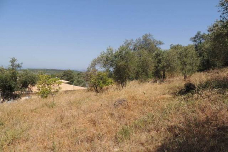 Plot in Greece, in Thinalio