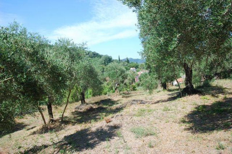 Plot in Greece, in Agios Ioannis North