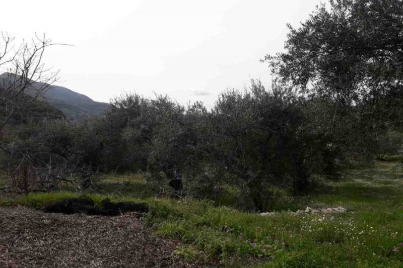 Plot in Greece, in Agios Panteleimonas