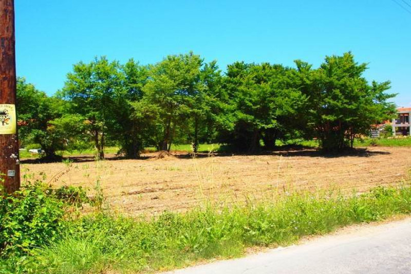 Plot in Greece, in Peroulades