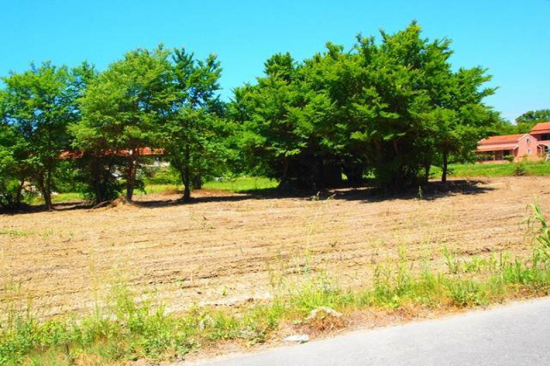 Plot in Greece, in Peroulades