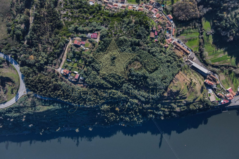 Коммерческая недвижимость в Португалии, в Порту