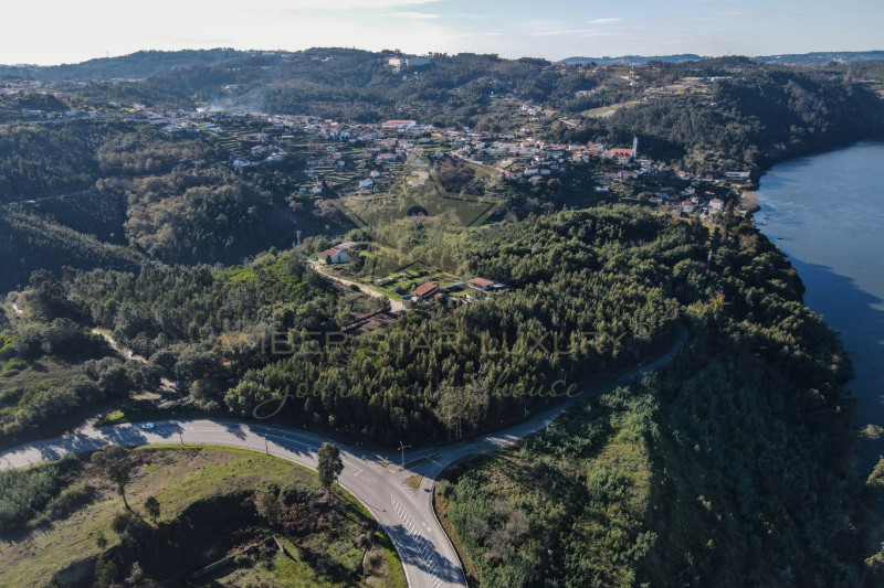 Коммерческая недвижимость в Португалии, в Порту