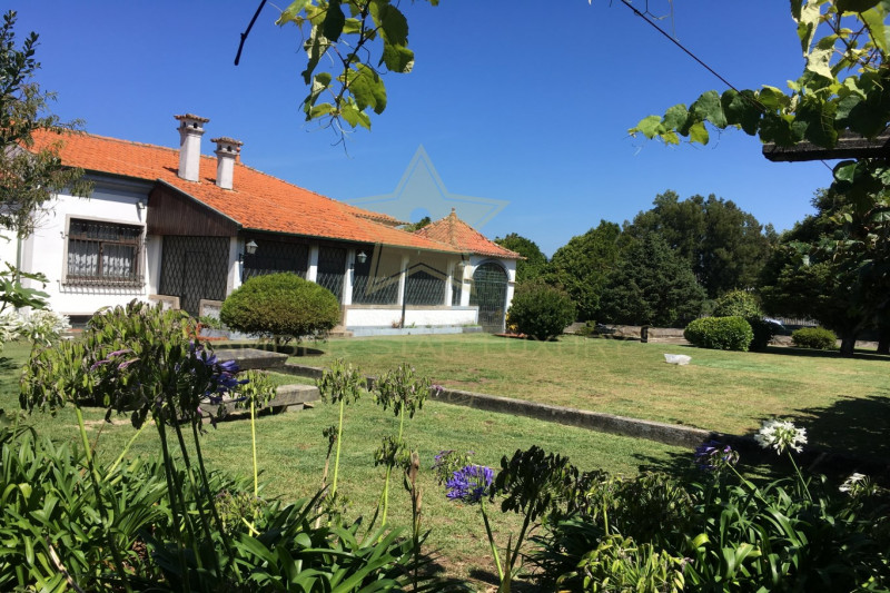 Cottage / House in Portugal, in Porto