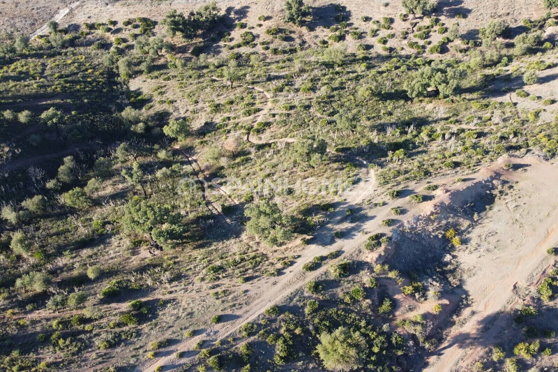 Участок в Испании, в Михас-Коста