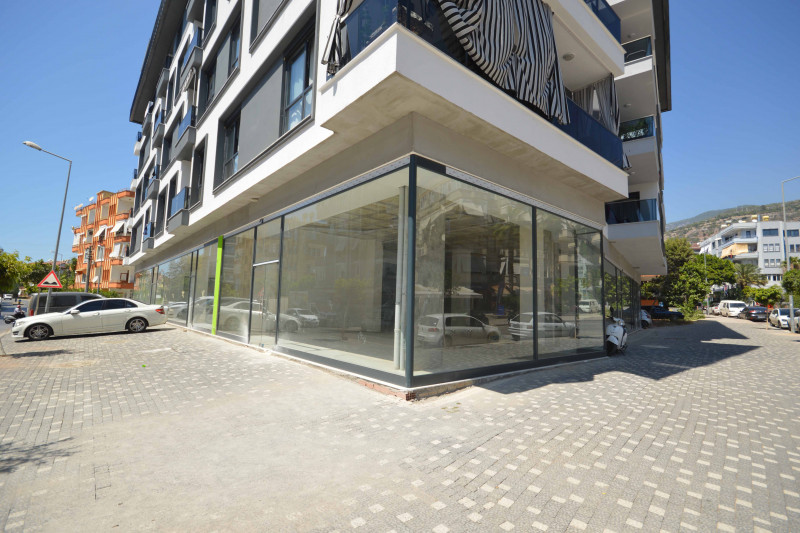 Коммерческая недвижимость в Турции, в Аланье