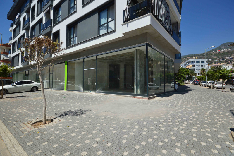 Коммерческая недвижимость в Турции, в Аланье