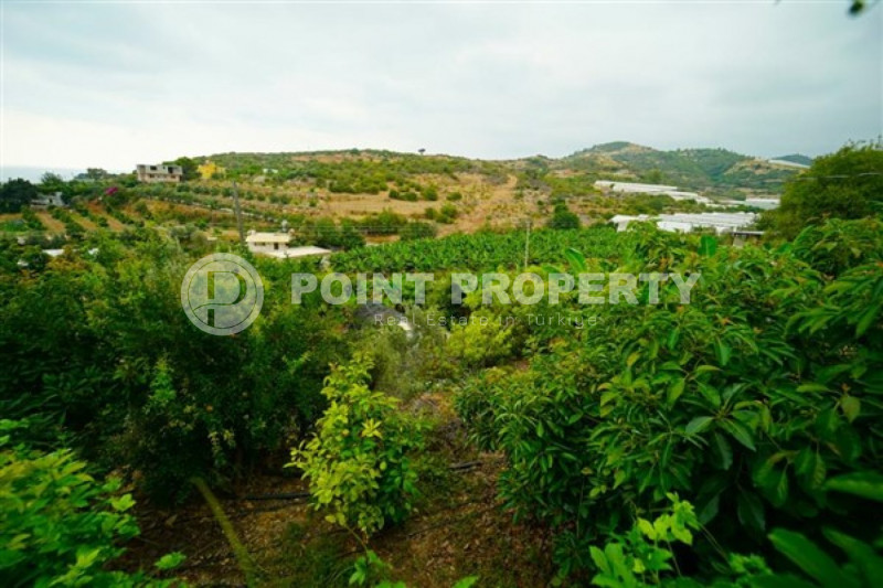 Вилла в Турции, в Демирташе