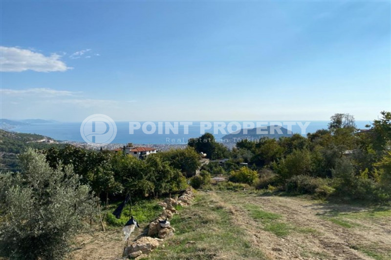 Коммерческая недвижимость в Турции, в Тепе