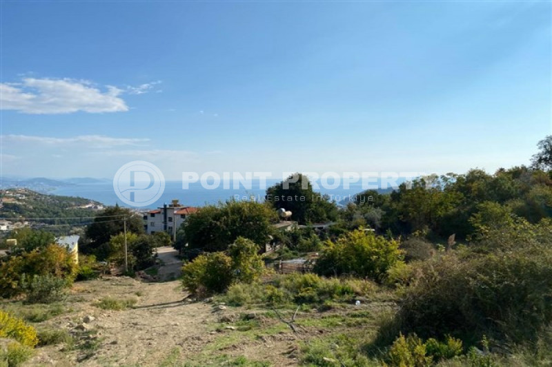 Коммерческая недвижимость в Турции, в Тепе