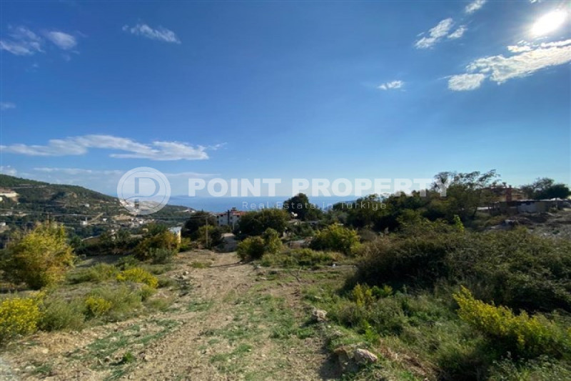 Коммерческая недвижимость в Турции, в Тепе