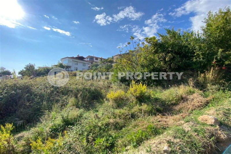 Коммерческая недвижимость в Турции, в Тепе