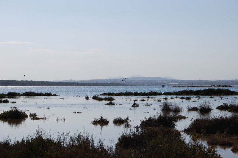 Пентхаус в Испании, в Ла Мата