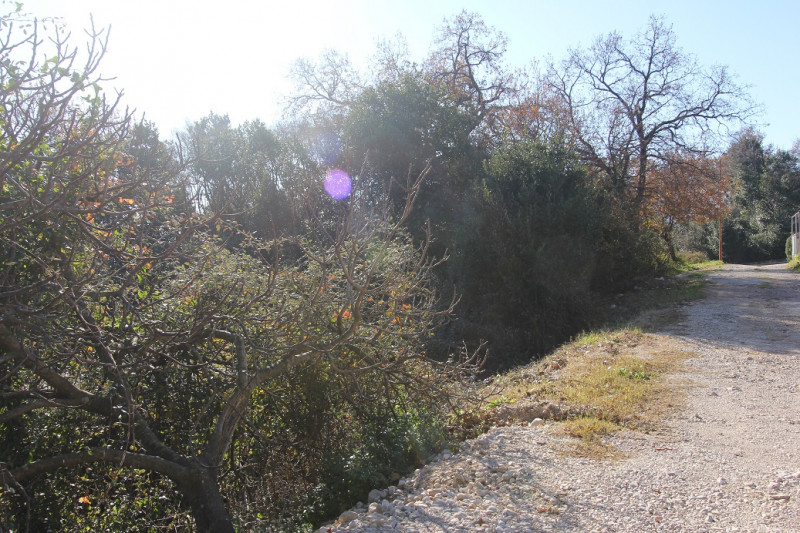 Участок в Черногории, в Биеле