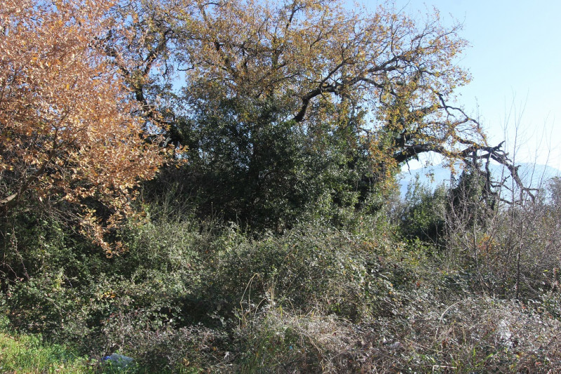 Участок в Черногории, в Биеле