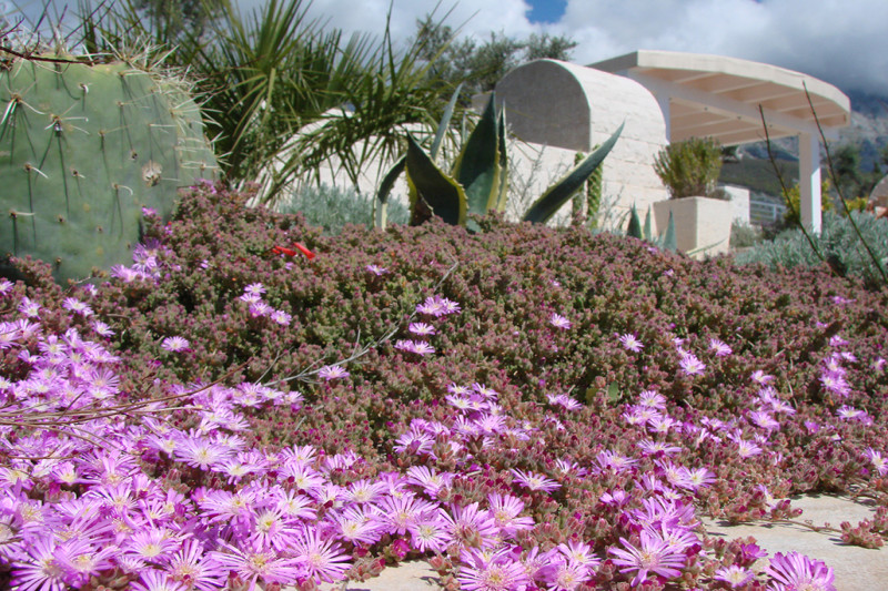 Дом в Черногории, в Добра Воде
