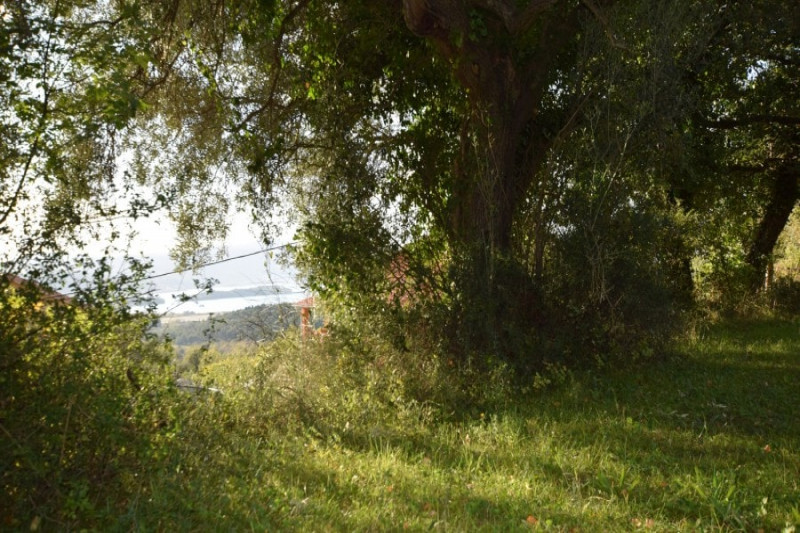 Участок в Черногории, в Кавач