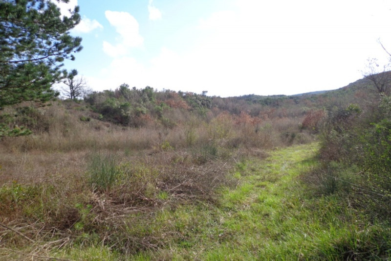 Участок в Черногории, в Радановичах