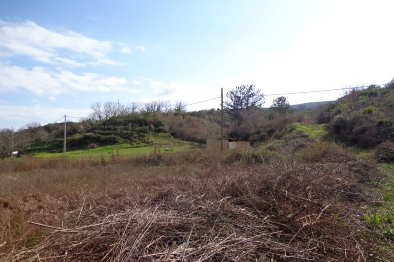 Участок в Черногории, в Радановичах