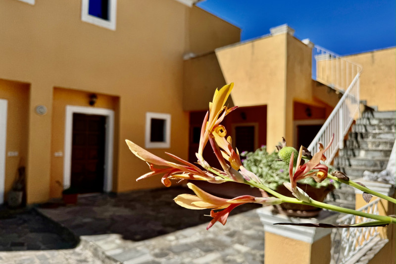 Апартаменты в Греции, в Агиос Георгиосе